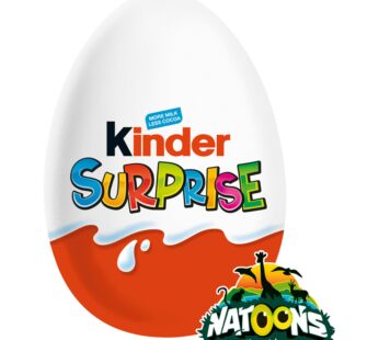 Kinder Surprise 10G