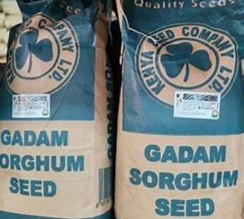 Sorghum 2kg