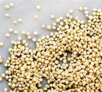 Sorghum 4kg
